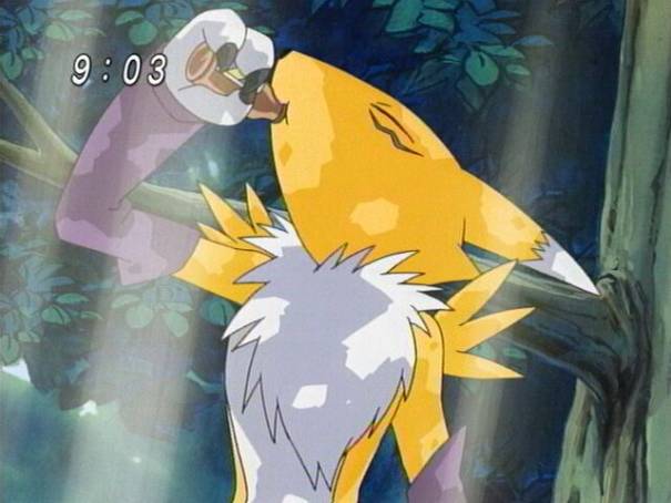 Renamon
